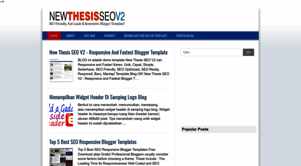 newthesisseov2.blogspot.in