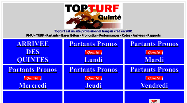 topturf.com